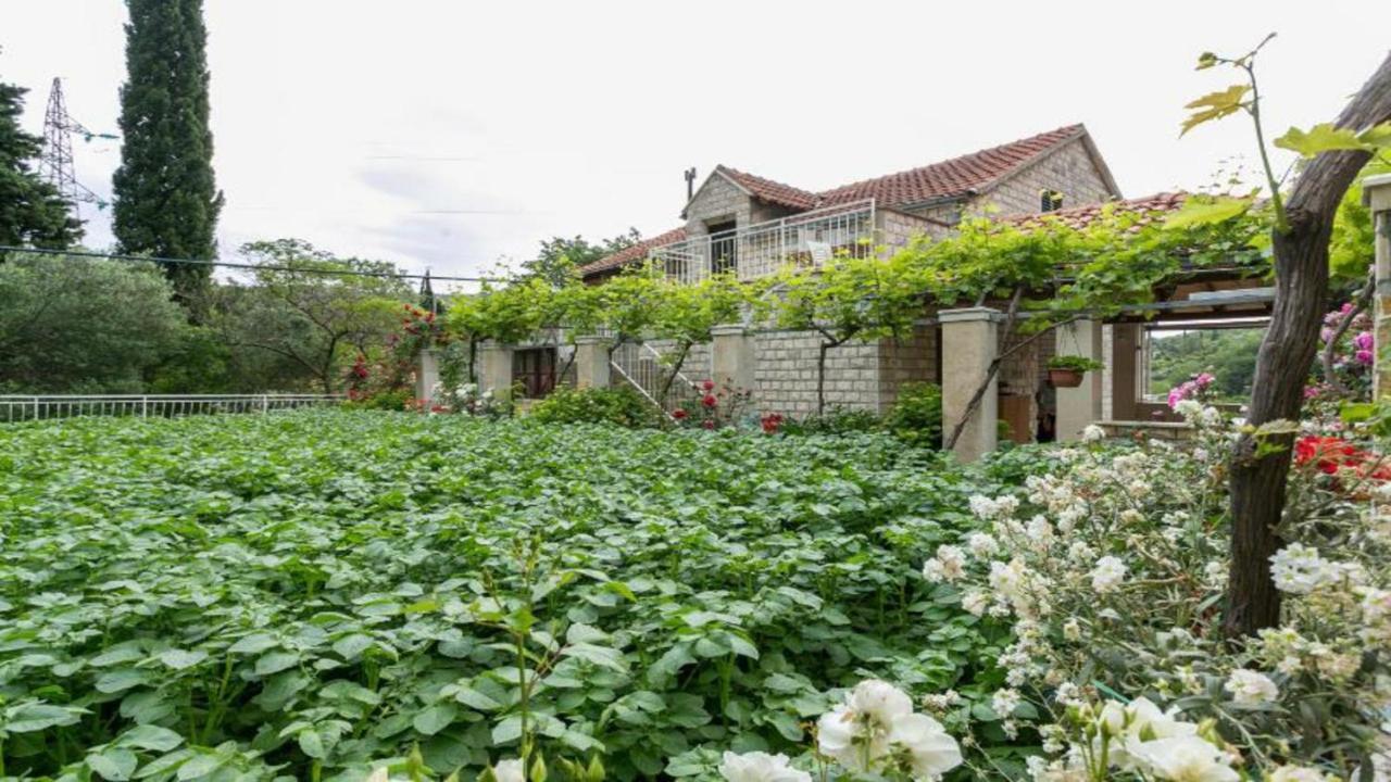 Apartment Klepo Дубровник Екстериор снимка